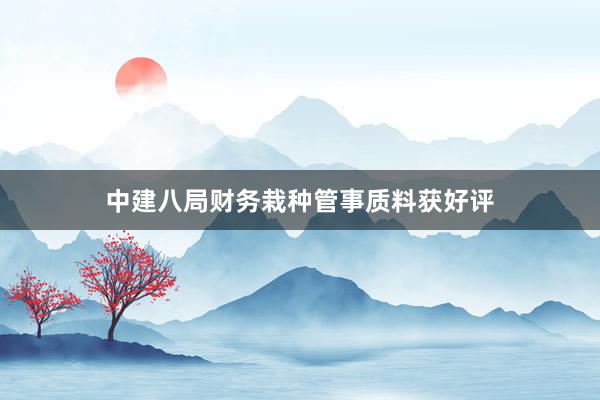 中建八局财务栽种管事质料获好评