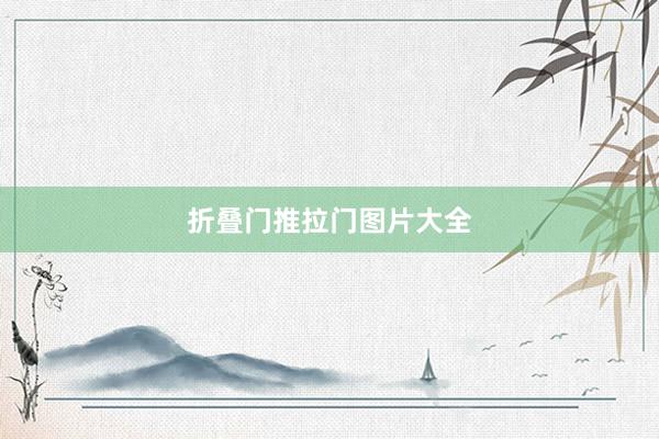 折叠门推拉门图片大全